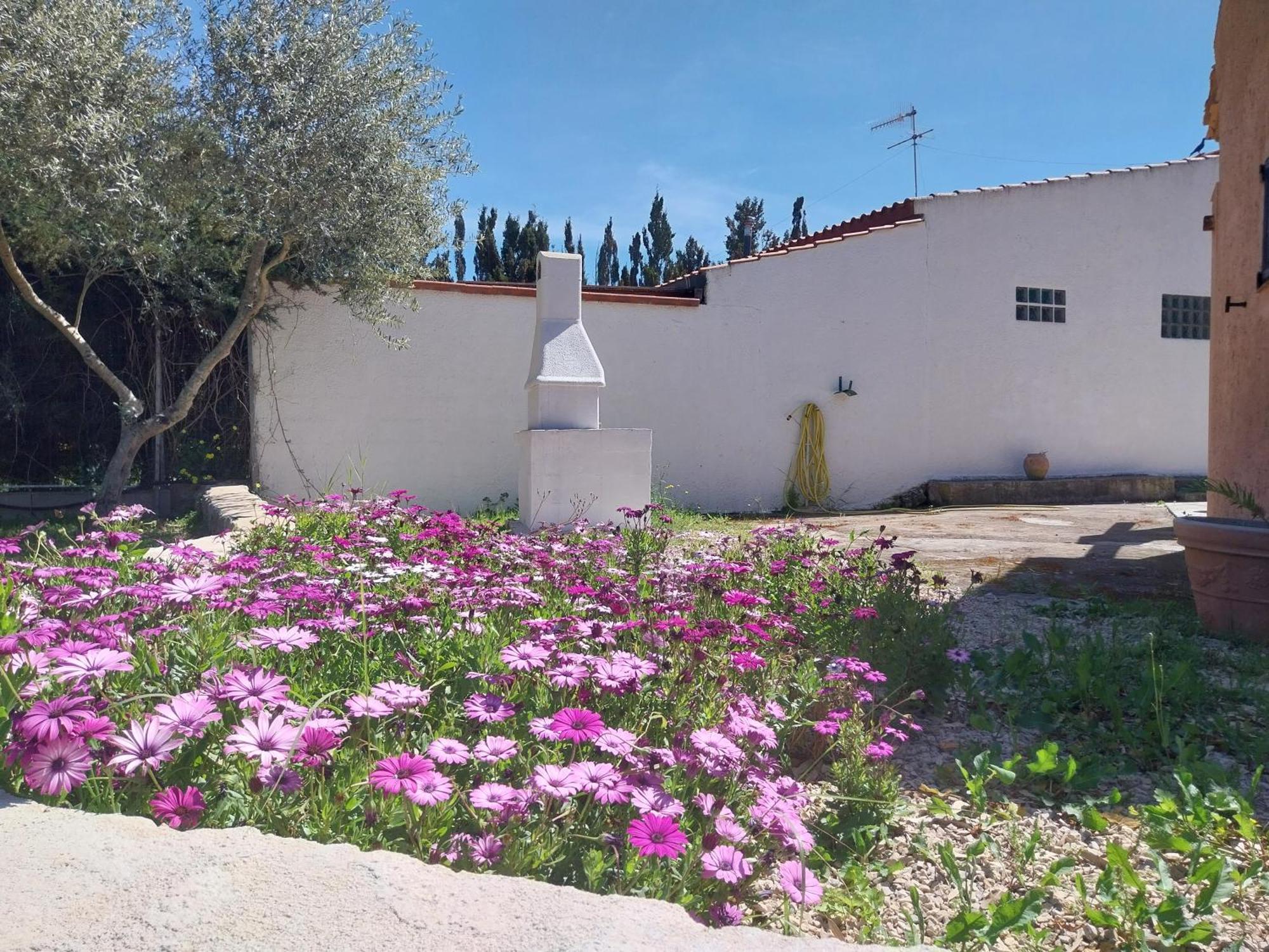 Apartamento Casal Baratz Santa Maria la Palma Exterior foto